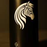 Rcsc-bouteille thermos isotherme zèbre (500ml)